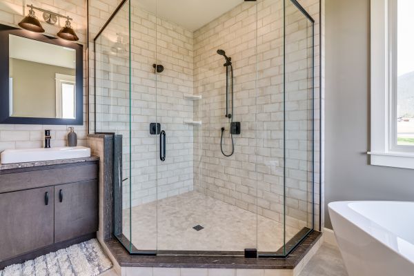 Cost of Bathroom Modification in Land O Lakes