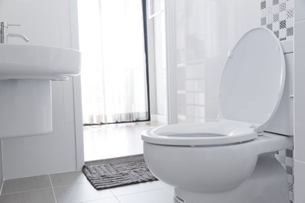 Cost of Toilet Relocation in Land O Lakes