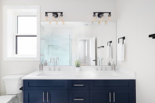 Cost of Vanity Replacement in Land O Lakes