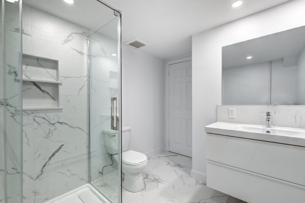 Basement Bathroom Construction in Land O Lakes