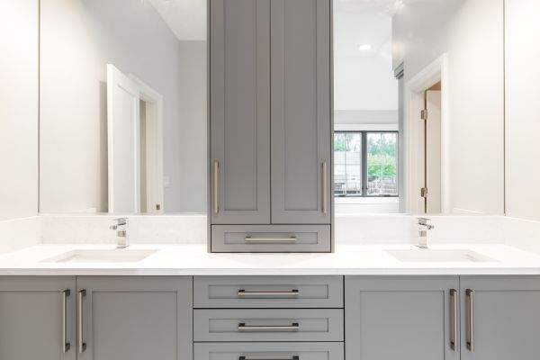 Bathroom Cabinets Remodeling in Land O Lakes
