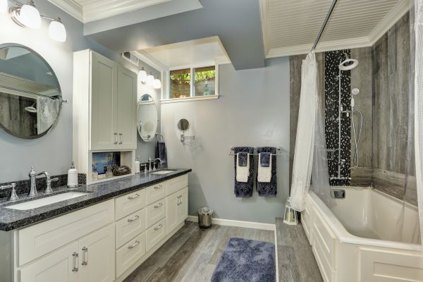Basement Bathroom Remodeling in Land O Lakes