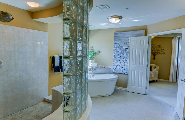 Basement Bathroom Renovation in Land O Lakes