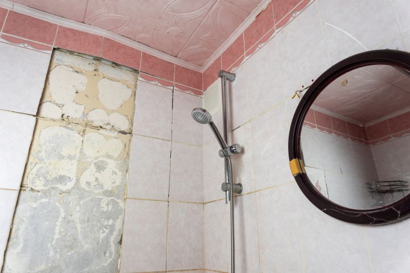 Top Shower Remodeling Companies in Brooksville, FL